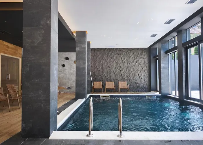 Safran 604 * Zlatibor